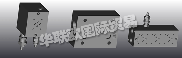 EUROFLUID Hydraulic是一家大型公司，專門生產(chǎn)液壓設(shè)備的歧管。