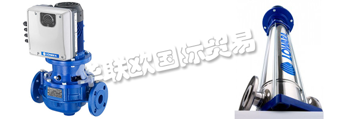 意大利LOWARA是一家專門生產(chǎn)不銹鋼泵的公司，他們提供的產(chǎn)品有：意大利LOWARA泵,、LOWARA水泵、循環(huán)器、端吸泵、多級泵、直列式泵、濕轉(zhuǎn)子循環(huán)器、變速泵、冷凝泵、自吸泵、潛水鉆孔泵、潛水污水和污水泵、潛水式脫水泵、外圍泵、泵控制器、驅(qū)動器、變頻器、控制器、壓力開關(guān)控制器。
